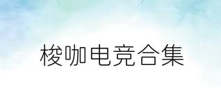 梭咖电竞合集