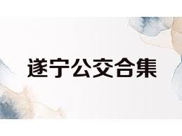 遂宁公交合集