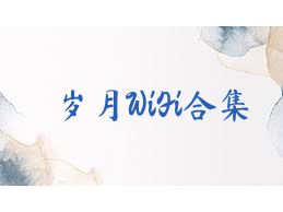 岁月WiFi合集
