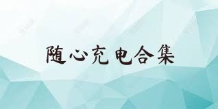 随心充电合集