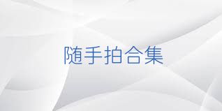随手拍合集