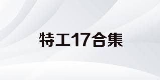 特工17合集