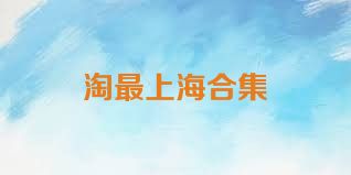淘最上海合集