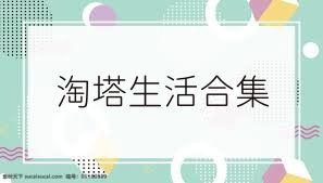 淘塔生活合集