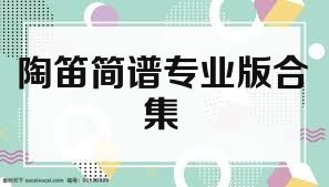 陶笛简谱专业版合集