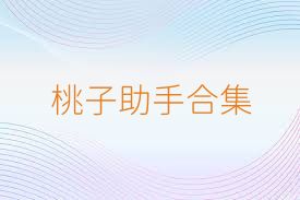 桃子助手合集