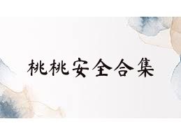 桃桃安全合集