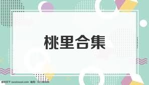桃里合集