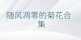 随风凋零的菊花合集