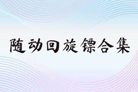 随动回旋镖合集
