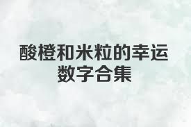 酸橙和米粒的幸运数字合集