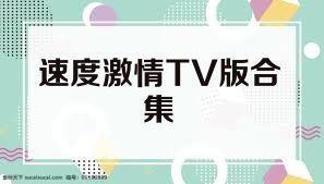 速度激情TV版合集
