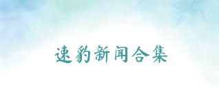 速豹新闻合集