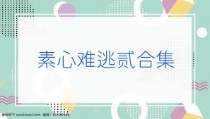 素心难逃贰合集