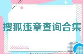 搜狐违章查询合集