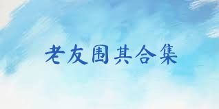 老友围棋合集