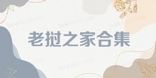 老挝之家合集