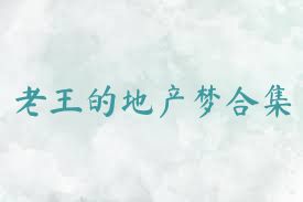 老王的地产梦合集