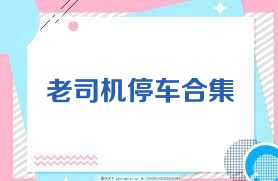 老司机停车合集