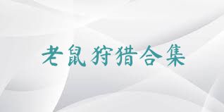 老鼠狩猎合集