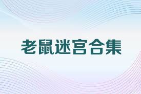 老鼠迷宫合集