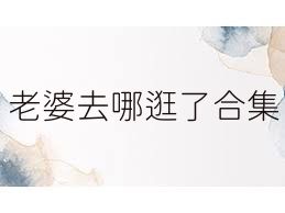 老婆去哪逛了合集