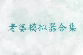 老婆模拟器合集