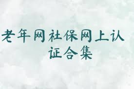 老年网社保网上认证合集