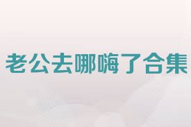 老公去哪嗨了合集