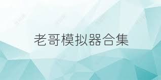 老哥模拟器合集