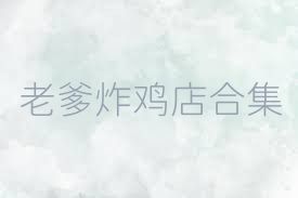 老爹炸鸡店合集
