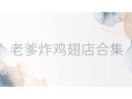 老爹炸鸡翅店合集