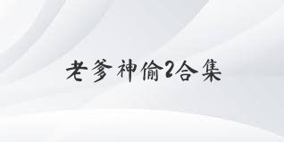 老爹神偷2合集