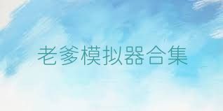老爹模拟器合集