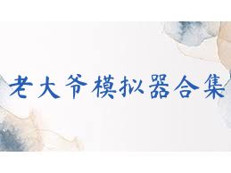 老大爷模拟器合集