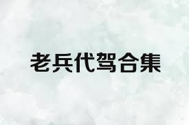 老兵代驾合集