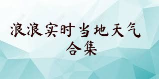浪浪实时当地天气合集