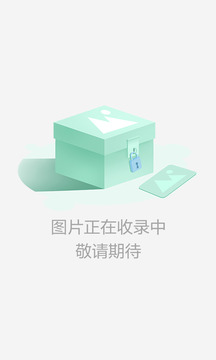 浪客剑心:剑剧绚烂手机版1