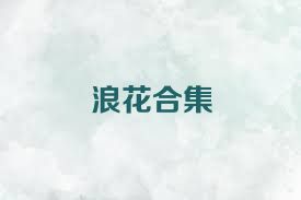 浪花合集