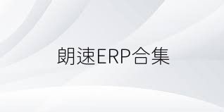 朗速ERP合集