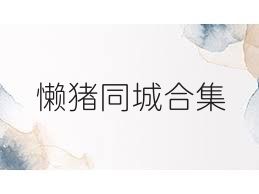 懒猪同城合集