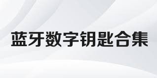 蓝牙数字钥匙合集