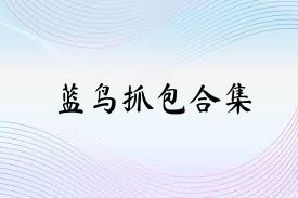 蓝鸟抓包合集