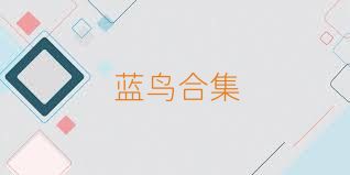 蓝鸟合集