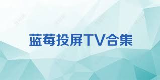 蓝莓投屏TV合集
