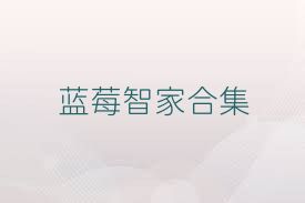 蓝莓智家合集