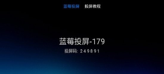 蓝莓投屏最新版1
