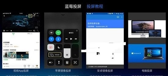 蓝莓投屏最新版3