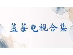蓝莓电视合集