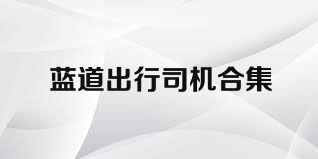 蓝道出行司机合集